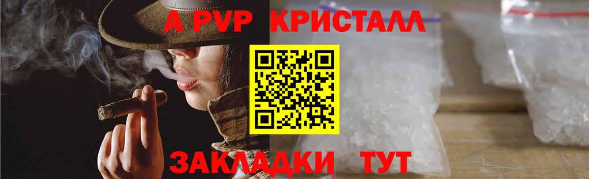 Альфа ПВП СК Канаш