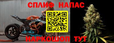 сатива Краснодар