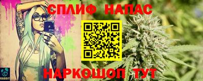 сатива Краснодар