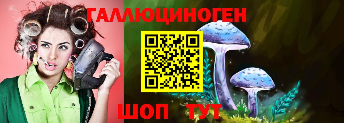 Галлюциногенные грибы Psilocybine cubensis  Псилоцибиновые грибы мицелий  Вход с VPN  Канаш 
